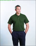  Artikel Dickies  SH21220   